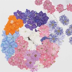 60pcs 압착 말린 Consolida Ajacis 꽃 식물 식물 표본 상자 보석 엽서 초대장 카드 전화 케이스 책갈피 DIY 211023