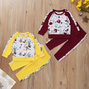 Baby Mädchen Jungen Kleidung Sets Druck Langarm Top + Reine Farbe Hosen 2 Stück Anzüge Herbst Winter Kinder Kleidung fabrik Direkt Preis Zugeständnisse