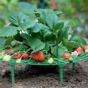 Gartenbedarf Pflanzenkletter-Pergola-Balkon-Topf-Gemüse-Gartenhalterung Erdbeer-Pflanzhalterung