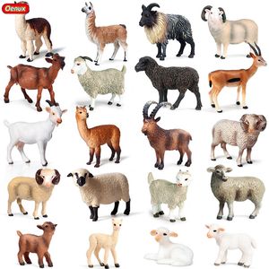 Oenux Farm Animals Simulação Alpaca Cordeiro Ovelha Goat Modelo Acção Figura Figuras PVC Miniatura Educacional Brinquedo Bonito para Kid C0220