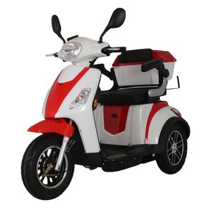 800W Electric Tricycle 3 Wheel Ebike With Lithium Battery Foldable Electric Scooter 10 Inch Wheel Electric Motorcycle