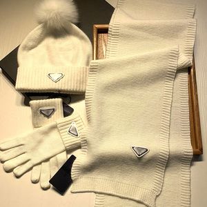 Warme Mütze Schal klassische Golfbogen-Abdeckkappe Luxus-Design Knochen Winter elastische Mützen Herren Skisport hohe Spannung Papa Capss Baseball einstellbar