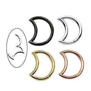 Altri orecchini lunari in acciaio 316L orecchini cartilagine orecchio piercing trago labret anelli cerchio naso daith piercing gioielli sexy all'ingrosso