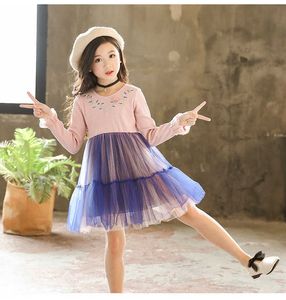 Schattige meisjes roze jurk herfst winter nieuwe mode geborduurde bloem blauwe tutu kinderen kleding beste feest kinderen meisje jurk Q0716