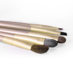 5PCS Makeup Brushes Set Powder Borste Foundation Eyeshadow Eyeliner Lip Cosmetic Kit Skönhetsverktyg med Guldrör Partihandel Vendor