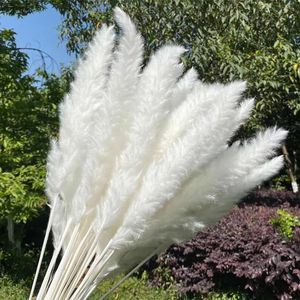 15pcs Arrangement of Natural Dry Reed Flowers As Grass for Decoration Modern House Party Backdrops Wedding Supplies