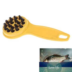 Culinária prática Remover Remover Ferramentas de Cozinha de Limpeza Ferramentas Manual Descascador Multifuncional Rasper GRAPERS Fish Pele Escova de Pele raspando Casa