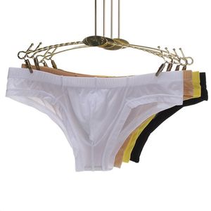 Jiayan Ice Silk Sexy Briefs Respirável Homens Underwear Calcinha Transparente Masculino Multicolor Low Cintura Cúrbios 2021 Novo