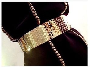 Gürtel Elastische Pailletten Frauen Gürtel Gold Silve Metall Gürtel Hohe Qualität Mode Designer Weibliche Persönlichkeit Ichthyosis Strap