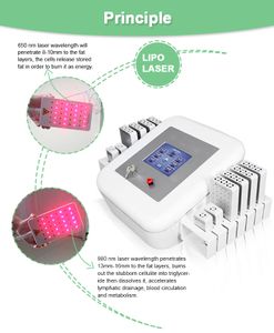 Bruder Farblaserdrucker 80k Kavitation Lipo Laser 980 nm Ausrüstung Schönheitsmaschine