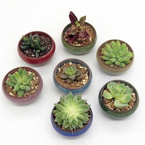 12Pcs Ice-Crack Fioriere di fiori in ceramica per piante succose Mini vaso bonsai Decorazione del giardino di casa Vasi per piante grasse GYH Y200709