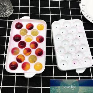 Ice Cream Tools 14/20 Holes DIY Mold Creative Bar Drink Whisky Sphere Round Ball Brick Cube Maker Bricka för kök