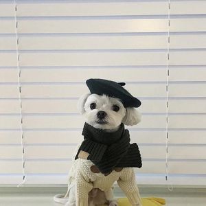 Dog Apparel Ins Costume Cat Hat Pet Products Cap Wool Berets Mini Dekorativ Po Headwear Memorial Luxury Designer