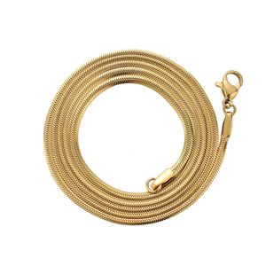 2mm Edelstahl Link Schlange Ketten Chokers Gold Silber Überzogene Halskette Party Decor Schmuck Für Frauen Männer