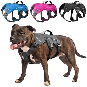 Cão Suporte Arnês De Nylon Dog Harness Pet Sport Harness Colete Harlter Sem Puxar para Cães Grandes Médio Caminhadas Trilhas de Passeio 210712