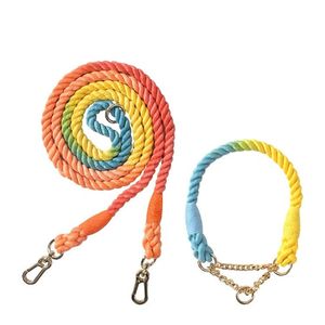 Gradient Color Dog Half Pinch Collars Dogs Leashes Rope Metal Chain Collar Strap Pet Outdoor Walking Training Long Traction Rope 210729