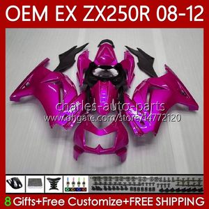 OEM-Karosserie für KAWASAKI NINJA EX250 ZX250 R EX ZX 250R ZX-250R 2008–2012 81Nr