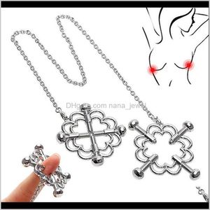 Silver Adjustable Nipple Clip Breast Clamps Deluxe Toy For Nipple Play Detachable Chain Hollowed-Out Design Nipples Ring 6Dzzf Jekpx