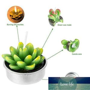 6PCS Artificial Succulent Plants Cactus Candle For Family Decorations Birthday Party Wedding Site Decorations Candlelight Feast Factory price expert design