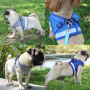 Gilet Modello Cani Collari Imbracatura Guinzaglio Set Cinturino in maglia traspirante Gilet Collare Corda Forniture per cani Drop Ship WY1299