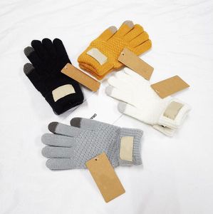 Inverno Warm Touch Screen Luvas Cabo Malha de lã lã alinhada Touchscreen Texting Mittens para Mulheres Dedo Completo Outdoor Ski Luva 4 Cores