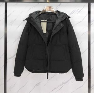 Piumini invernali da donna Capispalla classico Spessore Moda Due stili Collo in pelliccia Modello con lettera Parka da uomo Top caldi Abbigliamento unisex da donna