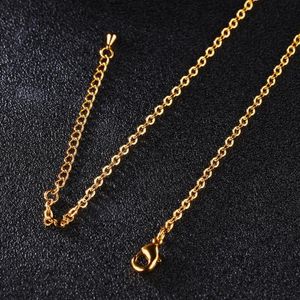 Wholesale girl only for sale - Group buy Fine Clavicle With Chain Only Necklaces Without Pendants Ladies Necklace Girl Chains