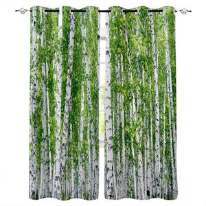 Perde Perdeler Modern Huş Ağaçları Doğa Pencere Yatak Odası Mutfak Oturma Odası Dekorasyon Ürünleri için Perdeler