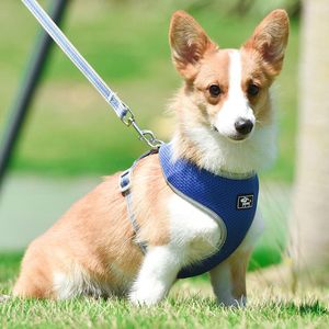 Dog Collars & Leashes Chest Strap Breathable Leashing Reflective Pet Vest-Style Puppy Rope Products Mesh Supplies Accessories