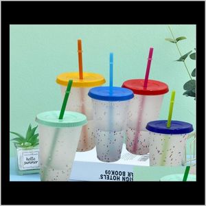 Tumblers Kitchen Ware Кухня, Бар Главная Гарден700 мл Обработка Цвета Чашка Confetti Plastic Cold Cold Water ST Кухонные Обеденные принадлежности Drop Доставка 20