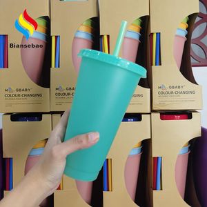 24oz Matte Skinny Plastic Acrylic Tumblers Double Wall Coffee Drinking Cup With Flat Lids and Straws