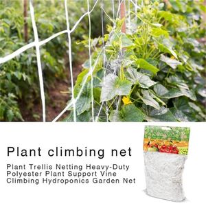 Garden Green Nylon Trellis netting Mesh Support Klättring Bean Plant Nets växer staket Netto förtjockad linje dekorativa blommor kransar