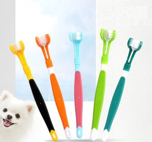 Pielęgnacja psów Three Sedded Pet Toothbrush opieka stomatologiczna Usuwanie złego oddechu Tatar Cat Toothbrus (4 kolor)