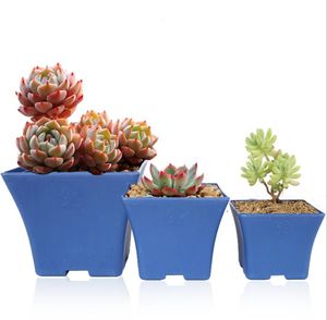 Blå Charmig Spanien Basin Square Flower Pot Bonsai Nursery Planter Lithops Grow Pots för Hem Garden Table Dercoration