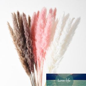Decorative Flowers & Wreaths 10Pcs Real Dried Reed Plants Bouquet Home Decor Natural Pampas Grass Wedding Decoration Dining Table For Room S Factory price expert