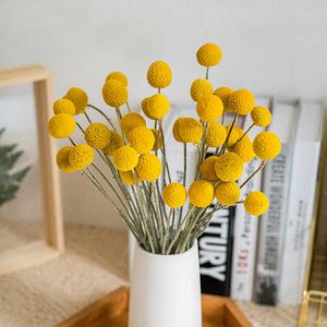 20 pcs craspedia billy bolas douradas orbs naturais secas preservadas flor casa amarelo casamento ano Natal ano decoração 210624