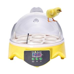 Suprimentos de laboratório Professinal ovos combinam incubadora com bandeja de ovos e cesta de hatcher hatcher automático completo incubadora ninhada