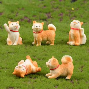 Animali Micro-paesaggi Figure Decorazioni Cagnolino Giallo Akita Miniatura Cane Giocattolo Giardino Bonsai Cactus Mobili succulenti