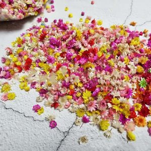 Nail Art Decorations 200x Real Gedroogde bloemen voor DIY Craft Epoxy Hars Kaars Maken Sieraden Simulatie Decoratie Holiday Party Supplies