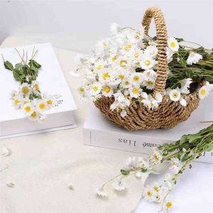 Geschenke für Frauen Natürliche frische getrocknete konservierte Blumen Rhodanthe manglesii, Blumensträuße Geschenk für Hochzeitsdekoration, Heimdekoration