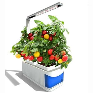 Planterare krukor Smart växtblomspot, hydroponic rektangulär inomhus automatisk vattenabsorption soilless odling av grönsaker