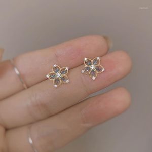 Stud Designer Original Blue Gold Rim Inlaid Orchid Earrings Hollow Flowers Luxury Exquisite Charm Ladies Silver Jewelry