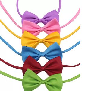 Multi cores pet bowtie cão gravata colarinho acessórios flor decoração suprimentos puro cor bowknot gravata