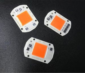 20W 30W 50 W Pęzie LED LED LED chip Smart IC ac 110V 220V źródło światła dla reflektorów ciepłe białe czerwone rośliny żarówka