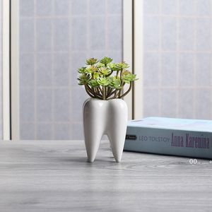 Tänder form keramisk kruka succulent planter mini vit söt trädgård blomma dekoration inomhus kontor skrivbord dekor rre10265