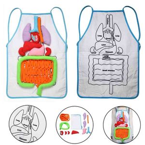 Anatomy Apron Human Body Organs Awareness Educational Insights Toys Preschool Home Teaching Aids For Children Kids 210625