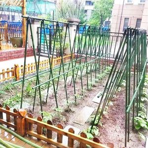 Outro jardim suprimentos doméstico Varanda Ao Ar Livre Flor Rosa Verde Verde Planta Plantas Climbing Quadro de Feijão de Feijão Melão Tomate