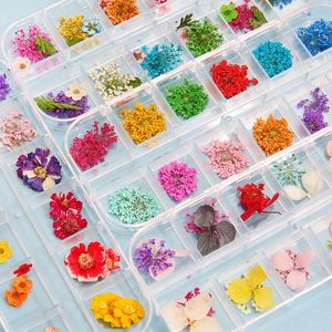 1 Box Torkade blommor Torra växter För Hartsformar Fyllningar Epoxihänge Halsband Smycken Tillverkning Hantverk DIY Nagelkonst Dekoration Dekorativ Wrea