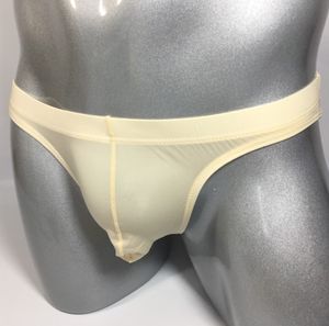 Partihandel JQK Ice Silk Underpants Briefs For Men Low Rise Underpants Good Quality Young Boys Sexiga underkläder 407 10 färger