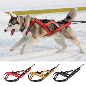 Imbracatura impermeabile per slitta per cani Imbracatura per slitta riflettente Cinghia per pesi per cani di taglia media e grande per skijoring scootering 210712